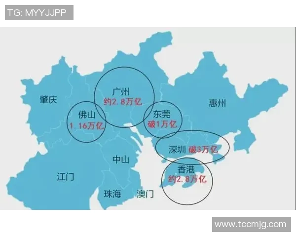 深圳乒乓球队技术特点深度解析与其他城市队伍的全面对比
