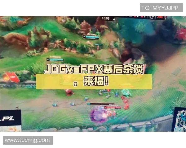 赛后分析：JDG与FPX实力对比及比赛关键因素探讨